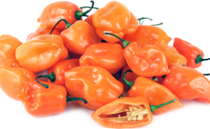 classifica peperoncini piccanti Habanero Orange